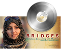 Bridge DVD Leader Kit